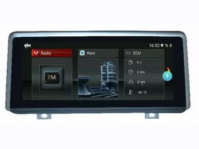 OEM BMW   with EVO SYSTEM       series 2 travelling F22 MPV mod. [LM G176M99]